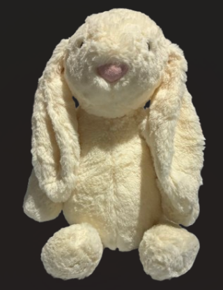 SOFT PLUSH BUNNY
